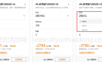 2025年阿里云服务器租用价格：云服务器优惠活动及价格详解